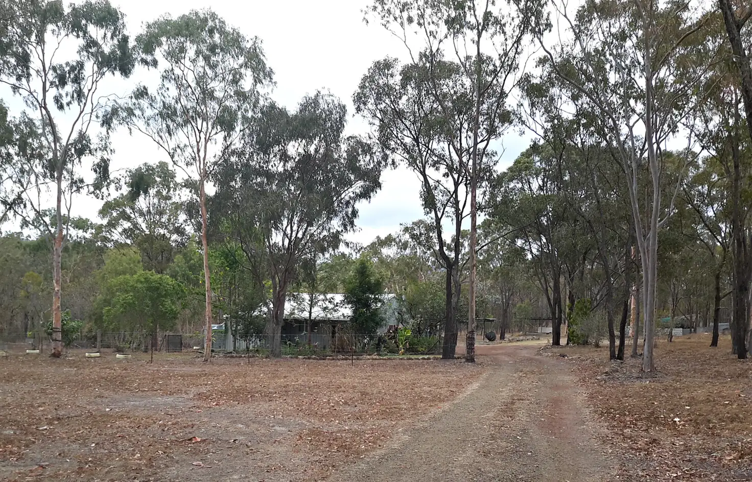 Main view of Homely rural property listing, 14 Eucalyptus Rd, Millstream QLD 4888