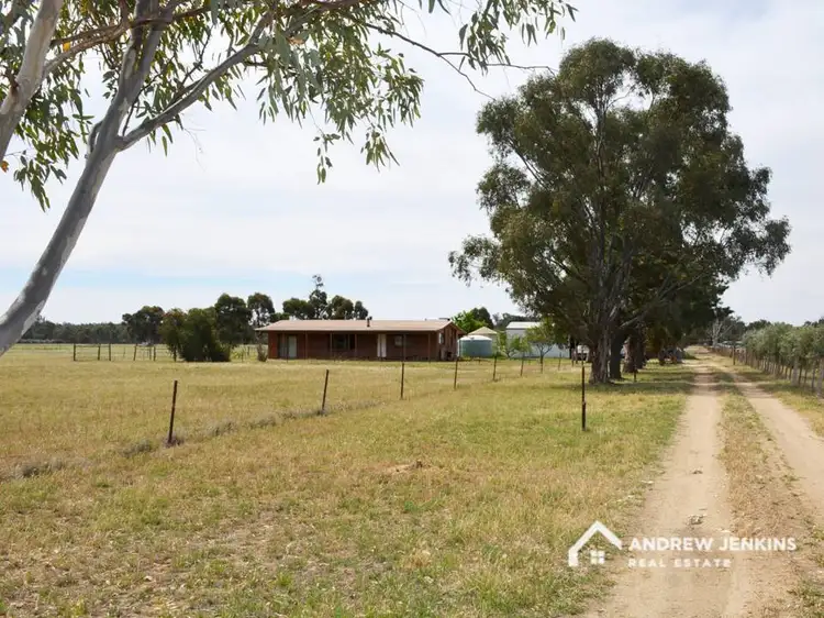 Main view of Homely rural property listing, 120 Mannions Rd, Bearii VIC 3641