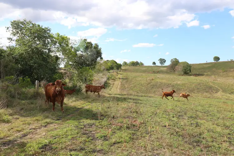 Second view of Homely rural property listing, 85 Walters Rd, Booyal QLD 4671