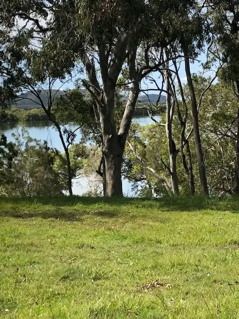 Seventh view of Homely house listing, 92-102 Canaipa Rd, Russell Island QLD 4184