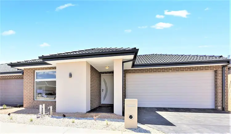 63 Clydevale Ave