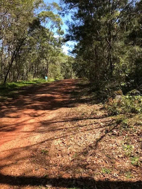 Second view of Homely land listing, 6 Belgrave Rd, Russell Island QLD 4184