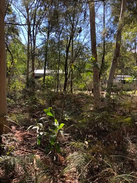 Fourth view of Homely land listing, 6 Belgrave Rd, Russell Island QLD 4184
