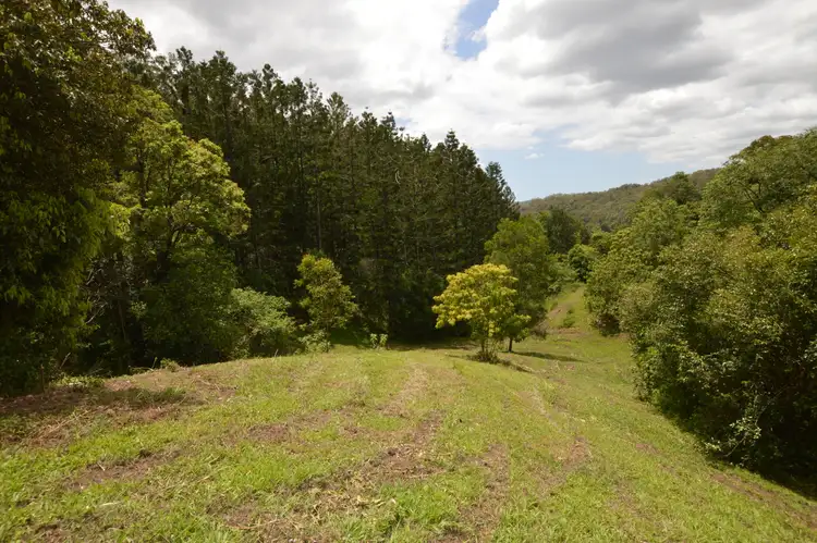 Fifth view of Homely land listing, LOT 10  127 Macdonald Rd, Palmwoods QLD 4555