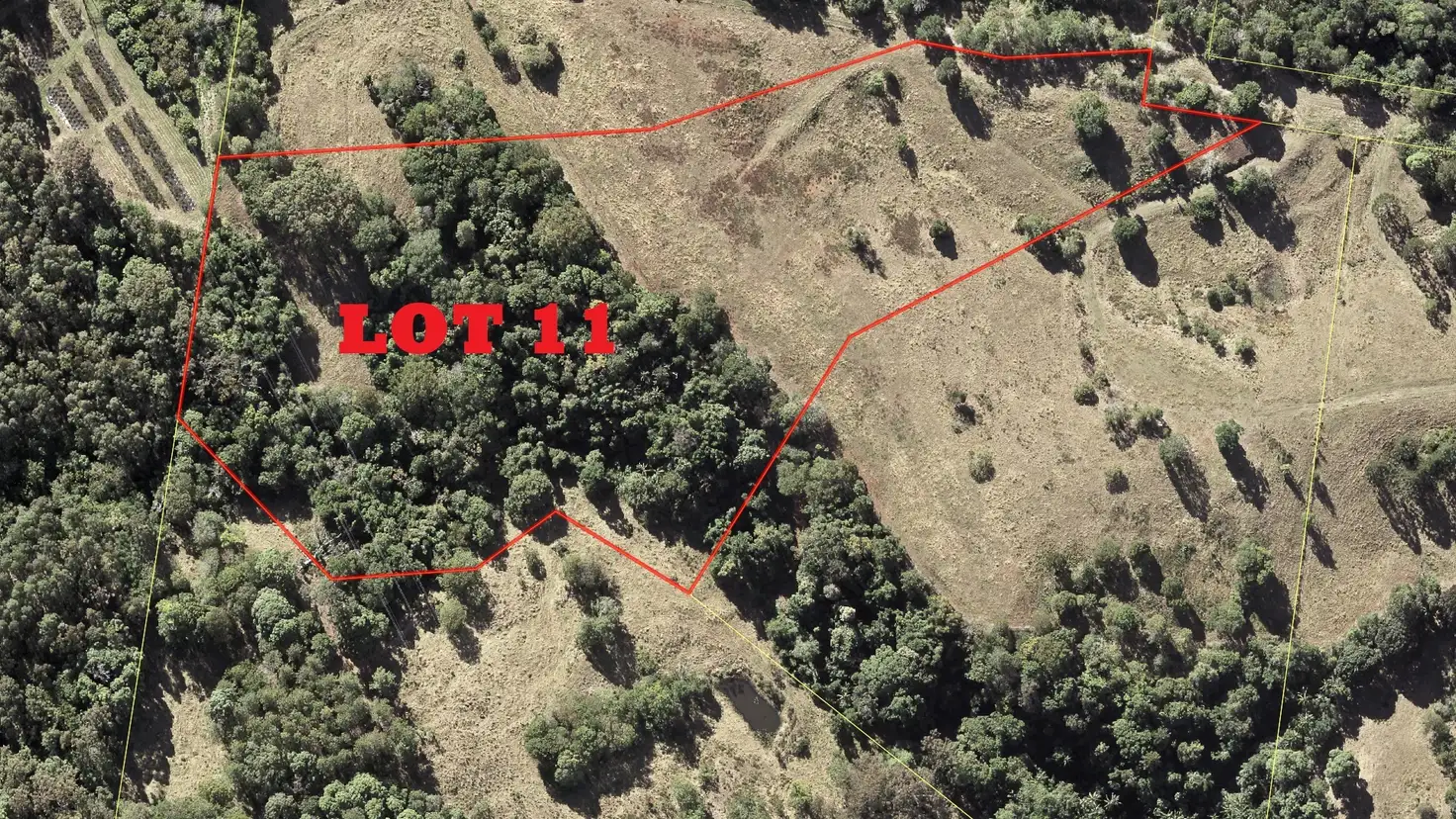 Main view of Homely land listing, LOT 11  127 Macdonald Rd, Palmwoods QLD 4555