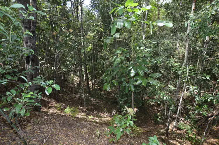 Sixth view of Homely land listing, LOT 11 127 Macdonald Rd, Palmwoods QLD 4555