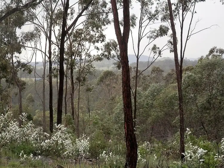 Sixth view of Homely rural property listing, 471 Paddys Flat Rd, Tabulam NSW 2469
