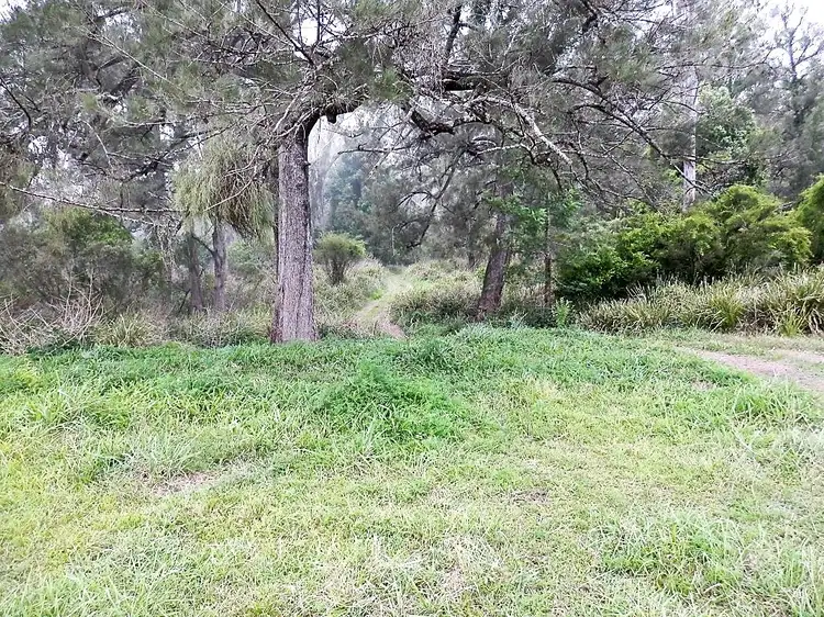 Seventh view of Homely rural property listing, 471 Paddys Flat Rd, Tabulam NSW 2469