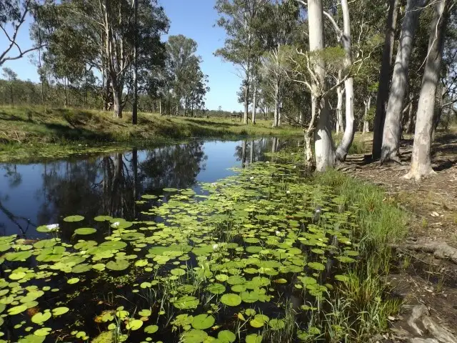 137 Old Tenterfield Road  Rappville, Rappville NSW 2469