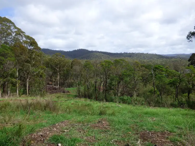 Fifth view of Homely rural property listing, Lots 966 & 967 Back Creek Road, Nethercote NSW 2549