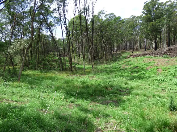 Seventh view of Homely rural property listing, Lots 966 & 967 Back Creek Road, Nethercote NSW 2549