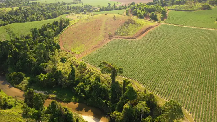 Main view of Homely rural property listing, LOT 149 Torrisi Rd, Silkwood QLD 4856
