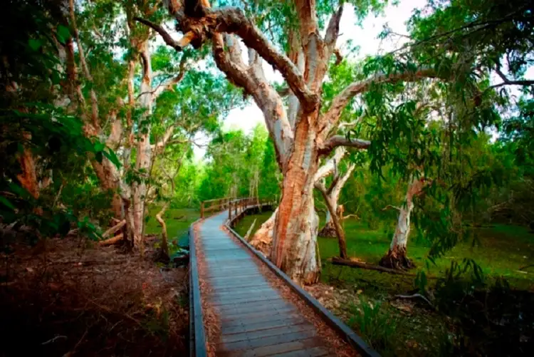 Fourth view of Homely land listing, 13 Sandals Bvd, Horseshoe Bay QLD 4819