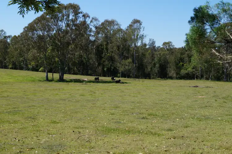 Seventh view of Homely rural property listing, 62 Hewson Rd, Tinana QLD 4650