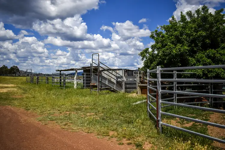 Fourth view of Homely rural property listing, 586/Narrango Road, Rylstone NSW 2849