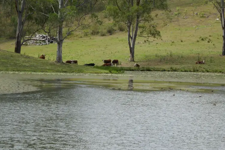 Second view of Homely rural property listing, 139 Forest Road, Kyogle NSW 2474