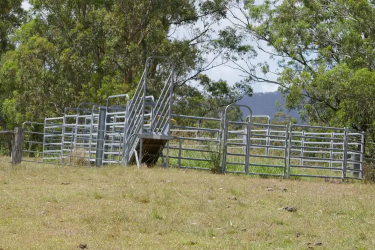Sixth view of Homely rural property listing, 139 Forest Road, Kyogle NSW 2474