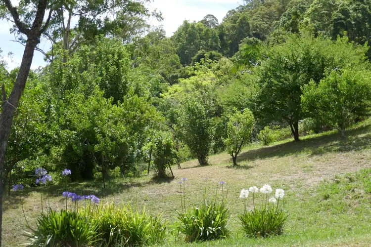 Seventh view of Homely rural property listing, 20 Warra Warra Lane, Kyogle NSW 2474