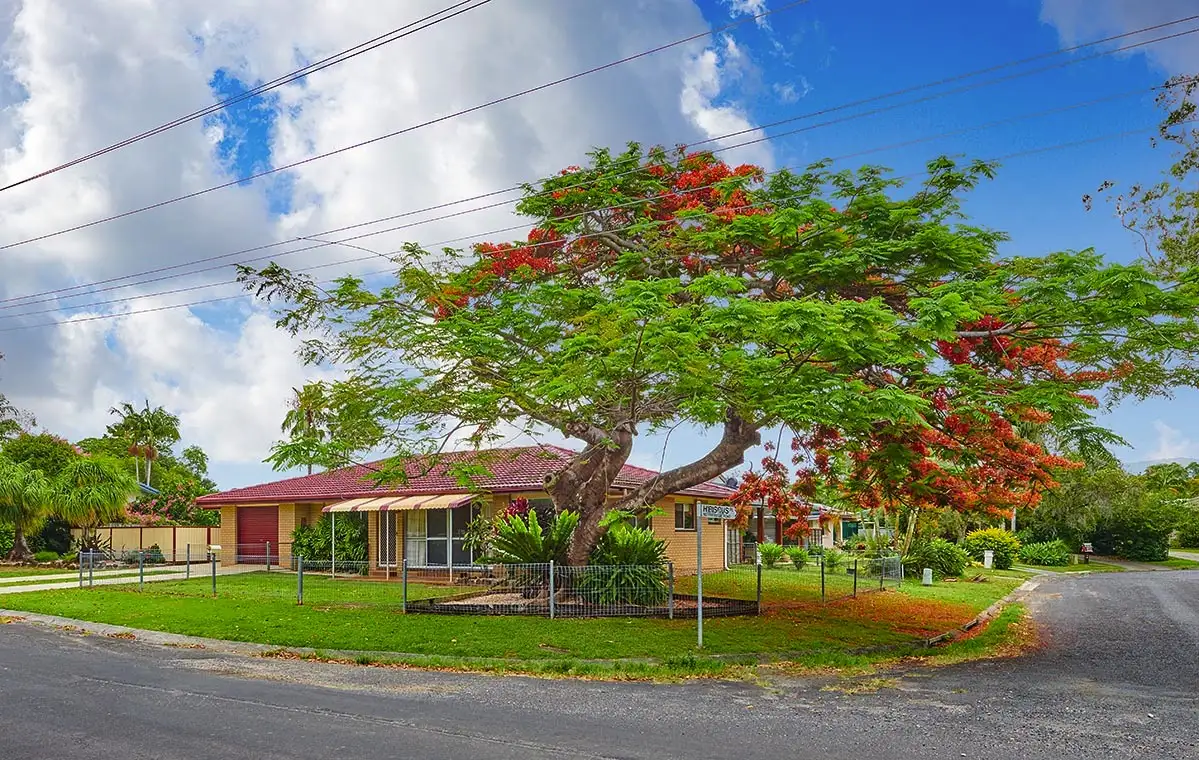 Main view of Homely house listing, 36 Pine Ave, Mullumbimby NSW 2482