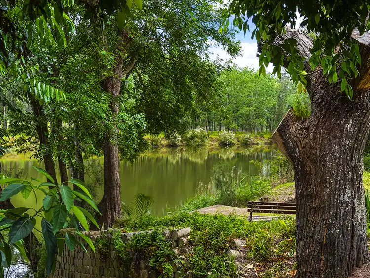 Second view of Homely house listing, 587 Settlers Rd, Lower Macdonald NSW 2775