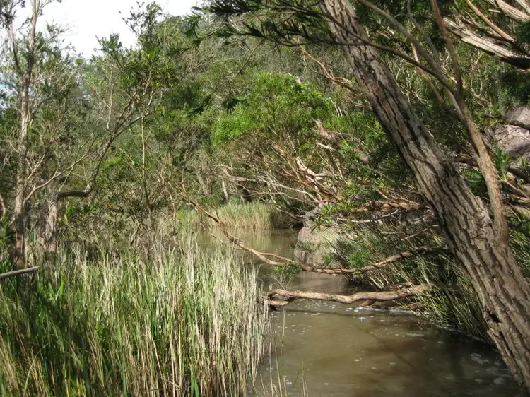 Fifth view of Homely rural property listing, 7 Sugarbag Rd, Tabulam NSW 2469