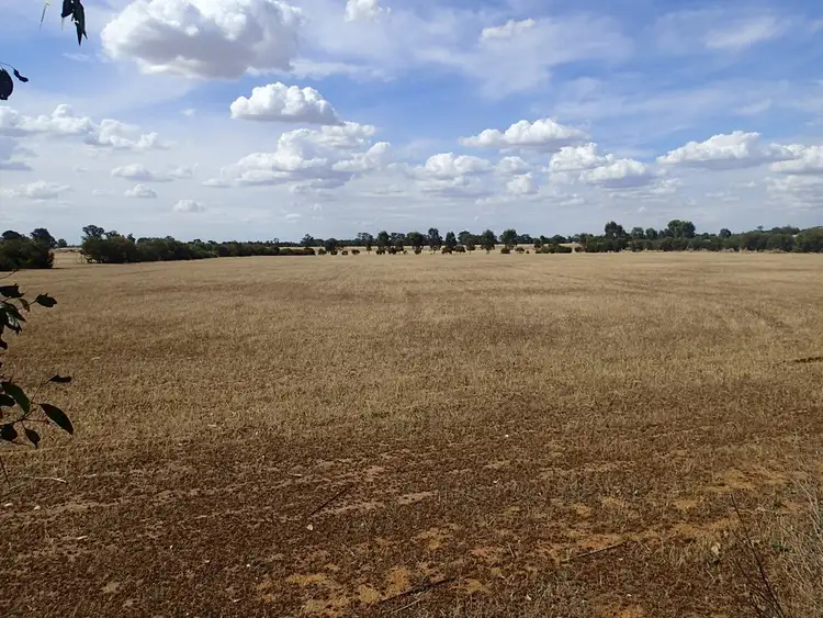 Second view of Homely rural property listing, 314 Spring Drive, Corowa NSW 2646