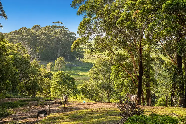 Third view of Homely house listing, 94-96 Warwick Park Rd, Wooyung NSW 2483