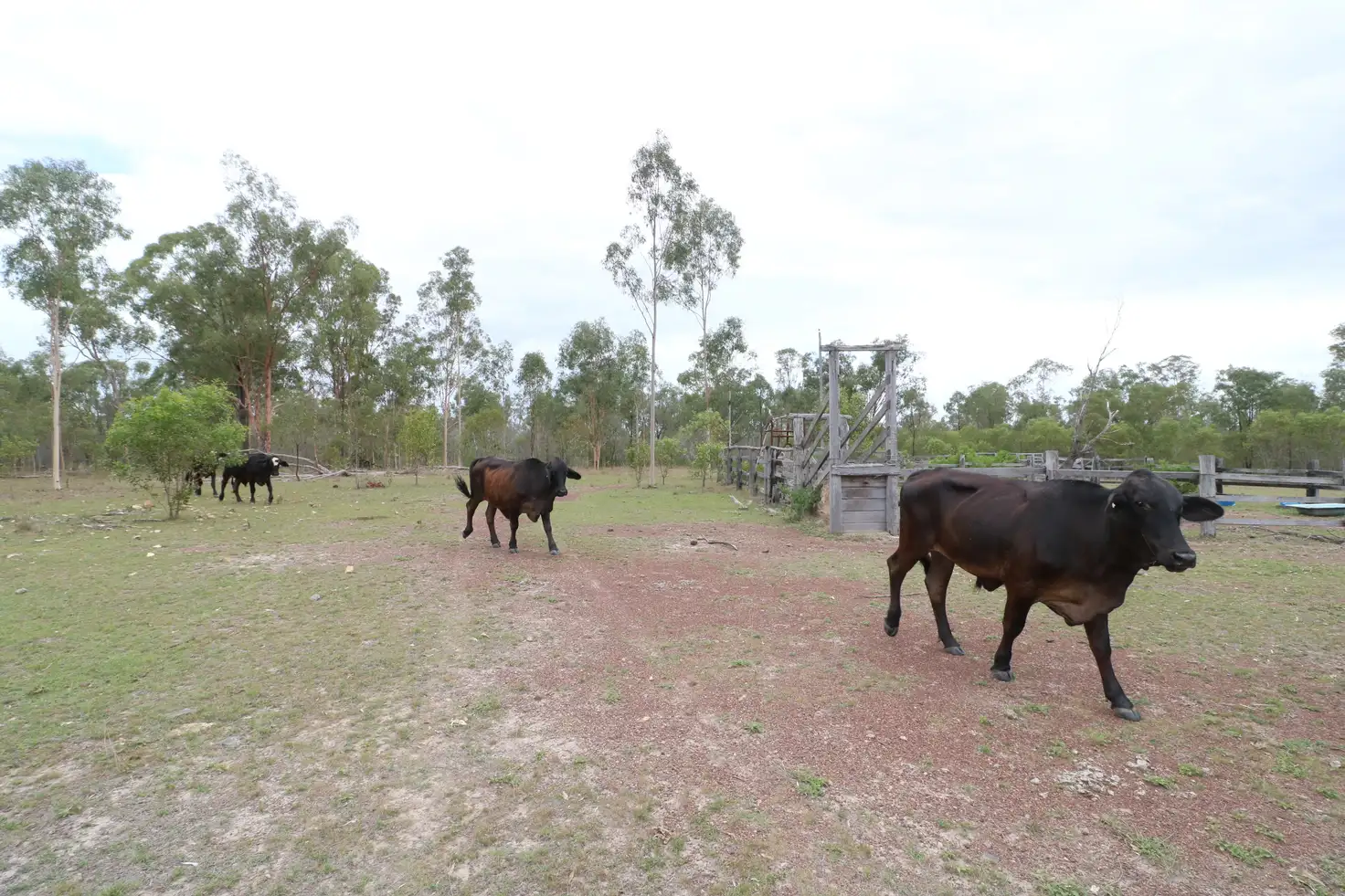 Main view of Homely land listing, 50 Eldridge Rd, Booyal QLD 4671