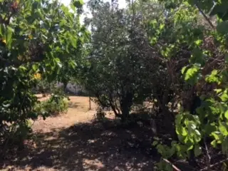 Fifth view of Homely house listing, 40 Bridge St, Stanthorpe QLD 4380