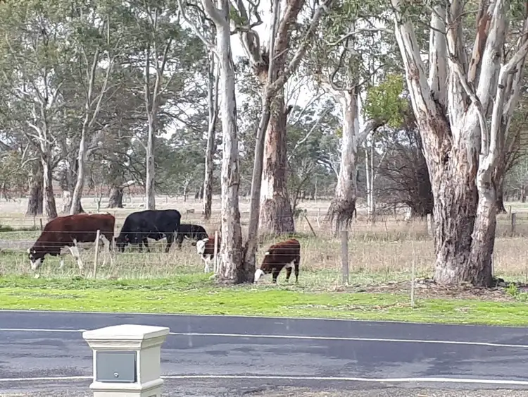 Second view of Homely house listing, 14 Gordon Street, Penola SA 5277
