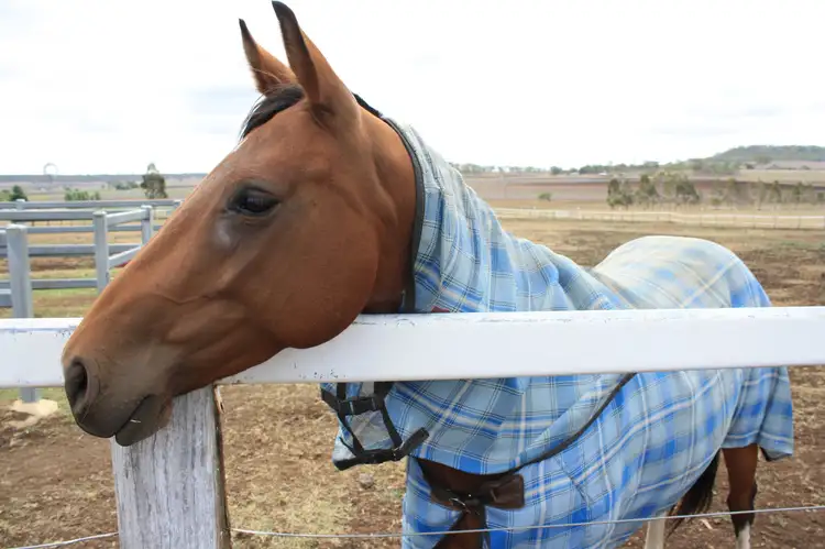 Fourth view of Homely rural property listing, 34 Waglands Rd, Allora QLD 4362