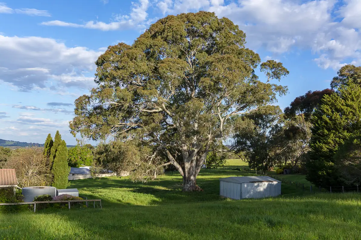 Main view of Homely house listing, 147 Hawthorn Rd, Mount Barker SA 5251