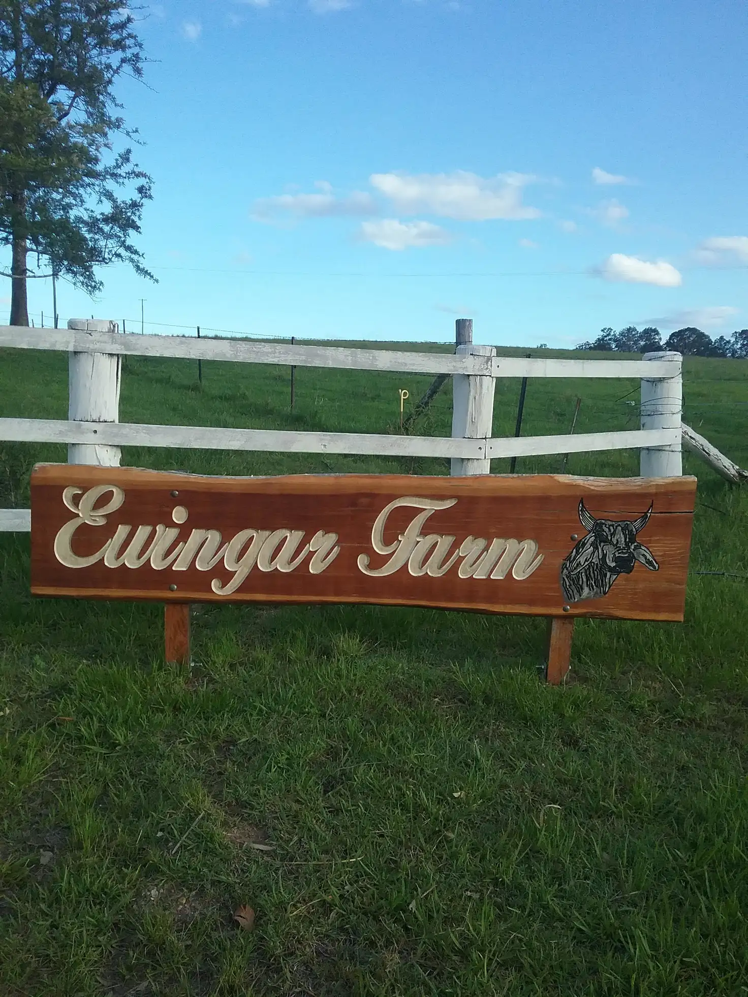 Main view of Homely rural property listing, 771 Ewingar Rd Ewingar 2469, Ewingar NSW 2469