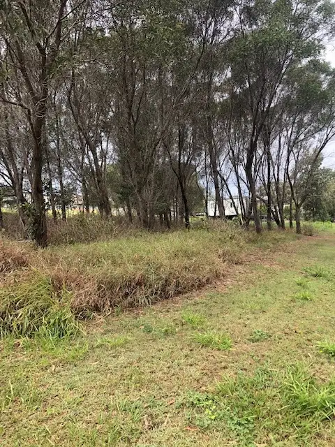 Main view of Homely land listing, 25 Acalypha St, Russell Island QLD 4184