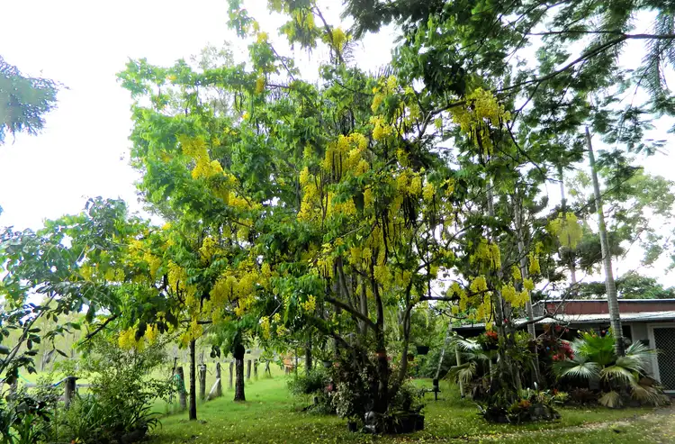 Third view of Homely rural property listing, 15384 Kennedy Hwy, Millstream QLD 4888