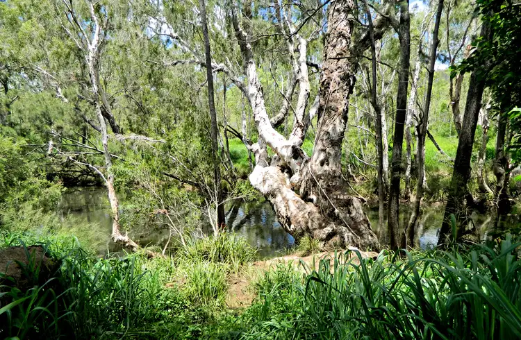 Seventh view of Homely rural property listing, 15384 Kennedy Hwy, Millstream QLD 4888