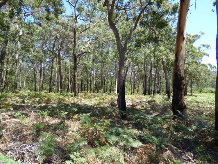 Fourth view of Homely rural property listing, LOT B Gleeson Road Wonboyn Via, Eden NSW 2551