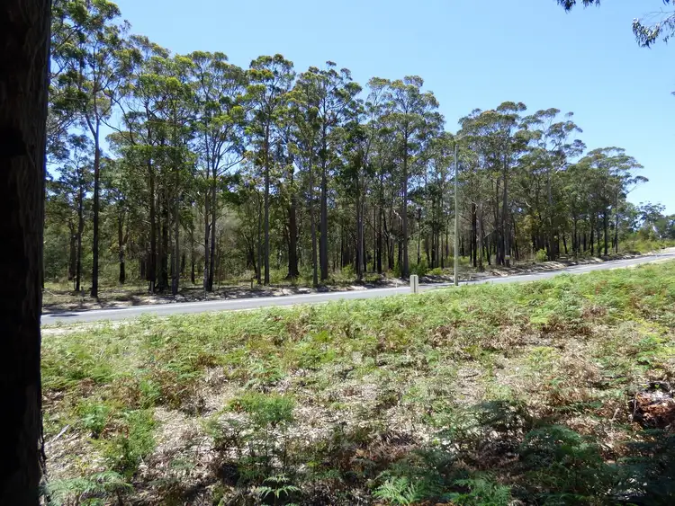 Sixth view of Homely rural property listing, LOT B Gleeson Road Wonboyn Via, Eden NSW 2551