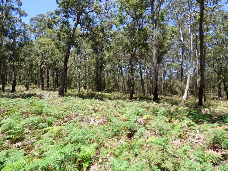 Seventh view of Homely rural property listing, LOT B Gleeson Road Wonboyn Via, Eden NSW 2551