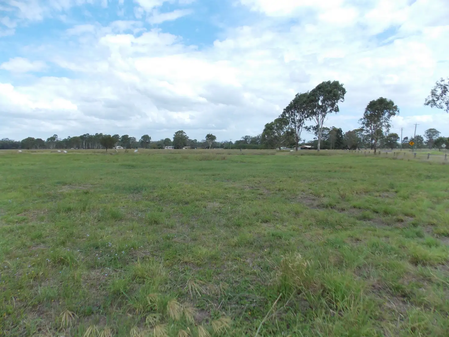 Main view of Homely rural property listing, 155-205 Mcgearys Rd, Thagoona QLD 4306