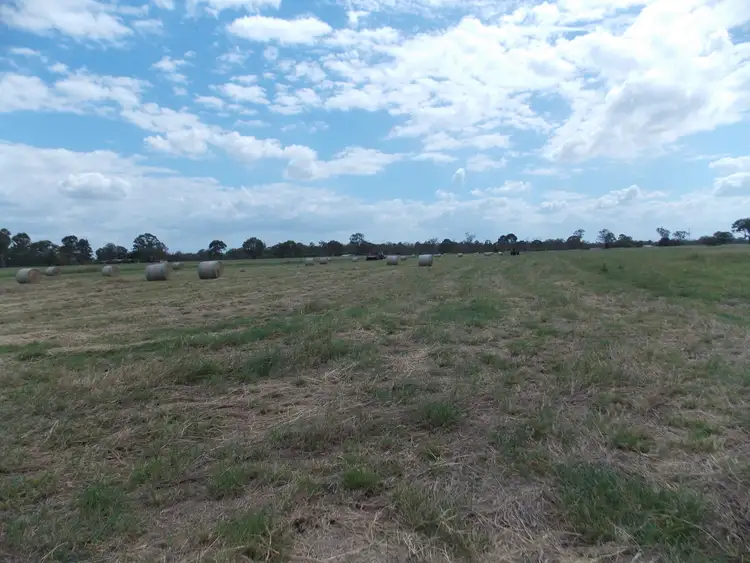 Third view of Homely rural property listing, 155-205 Mcgearys Rd, Thagoona QLD 4306