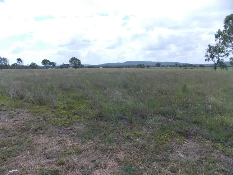 Fifth view of Homely rural property listing, 155-205 Mcgearys Rd, Thagoona QLD 4306