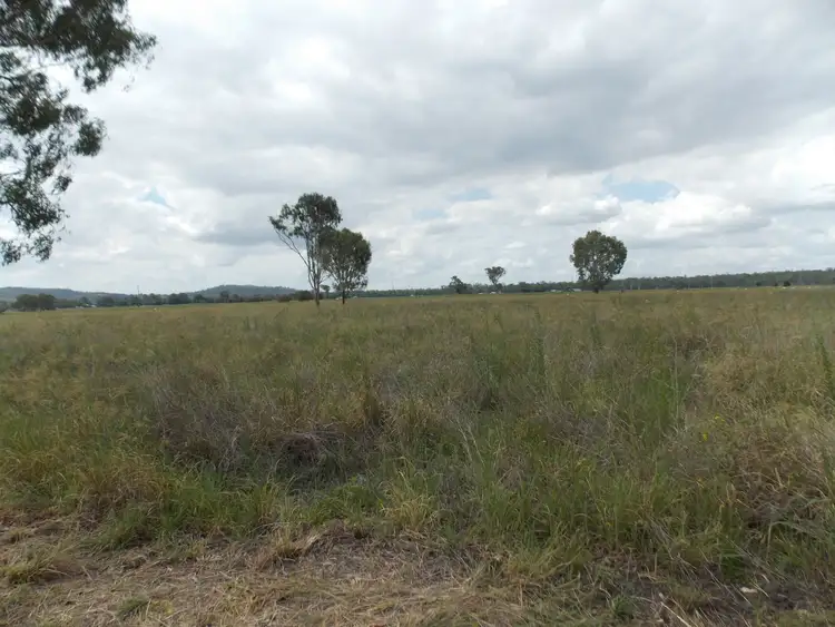 Sixth view of Homely rural property listing, 155-205 Mcgearys Rd, Thagoona QLD 4306