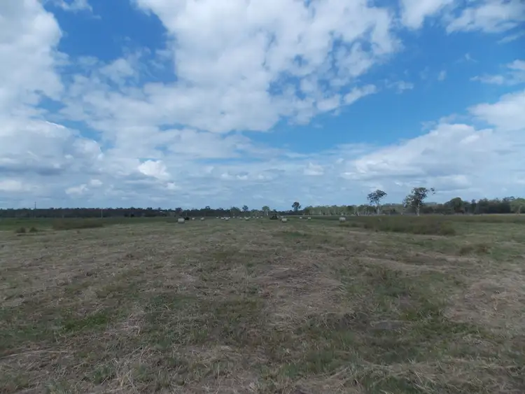 Seventh view of Homely rural property listing, 155-205 Mcgearys Rd, Thagoona QLD 4306