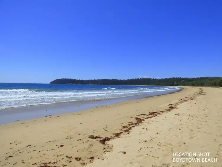 Second view of Homely rural property listing, 20 Yarran Road, Boydtown Via, Eden NSW 2551