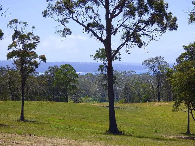 Fourth view of Homely rural property listing, 20 Yarran Road, Boydtown Via, Eden NSW 2551