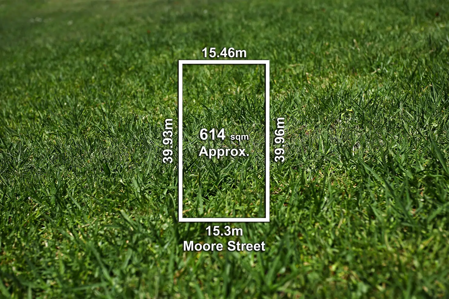 Main view of Homely house listing, 12 Moore St, Brighton East VIC 3187