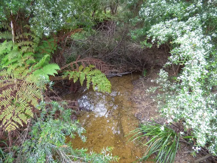 Fourth view of Homely land listing, Proposed LOT A Gleeson Road Wonboyn Via, Eden NSW 2551