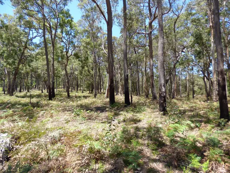 Fifth view of Homely land listing, Proposed LOT A Gleeson Road Wonboyn Via, Eden NSW 2551