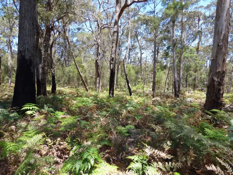 Seventh view of Homely land listing, Proposed LOT A Gleeson Road Wonboyn Via, Eden NSW 2551